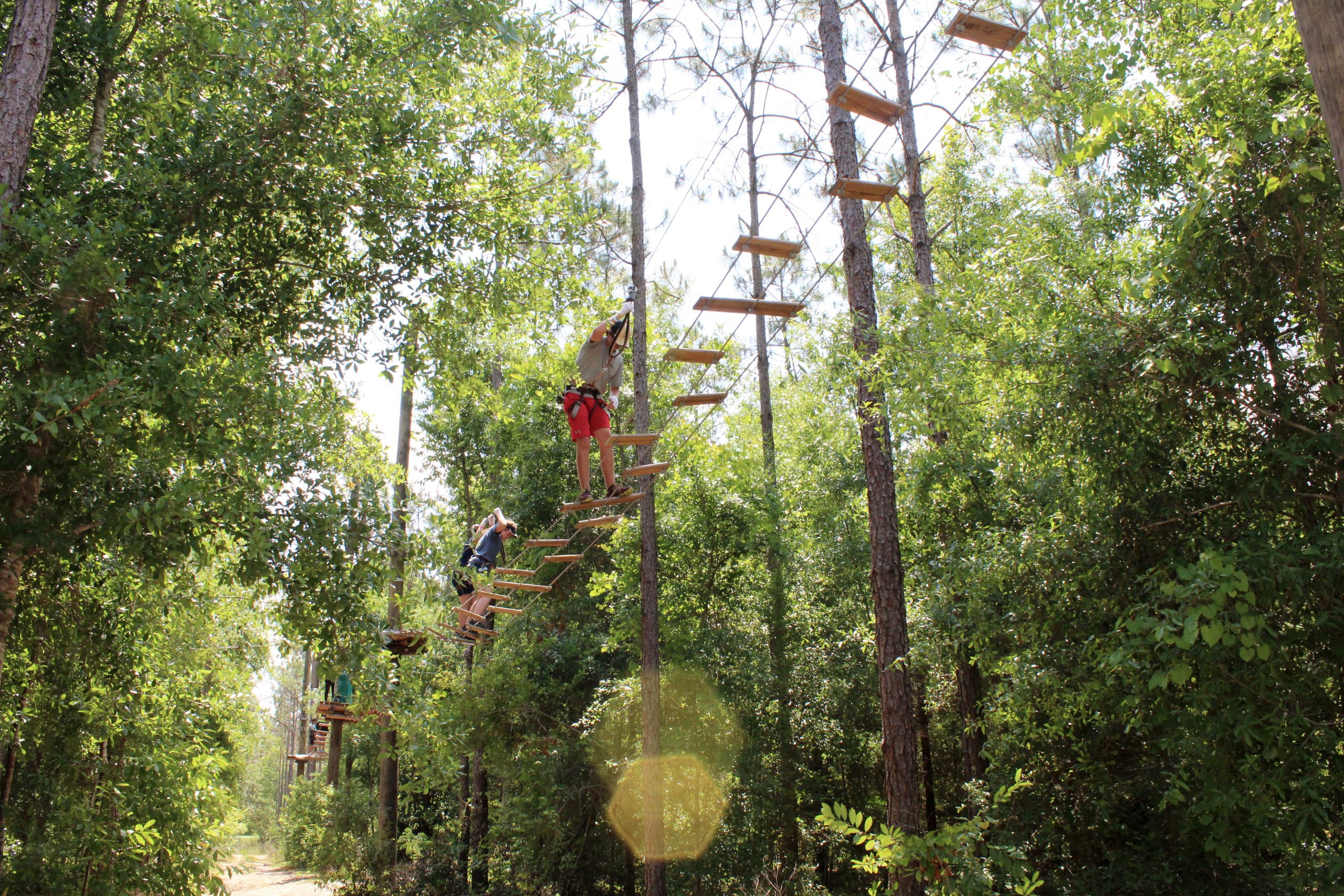 Guests climbing a ropes course on a sunny day