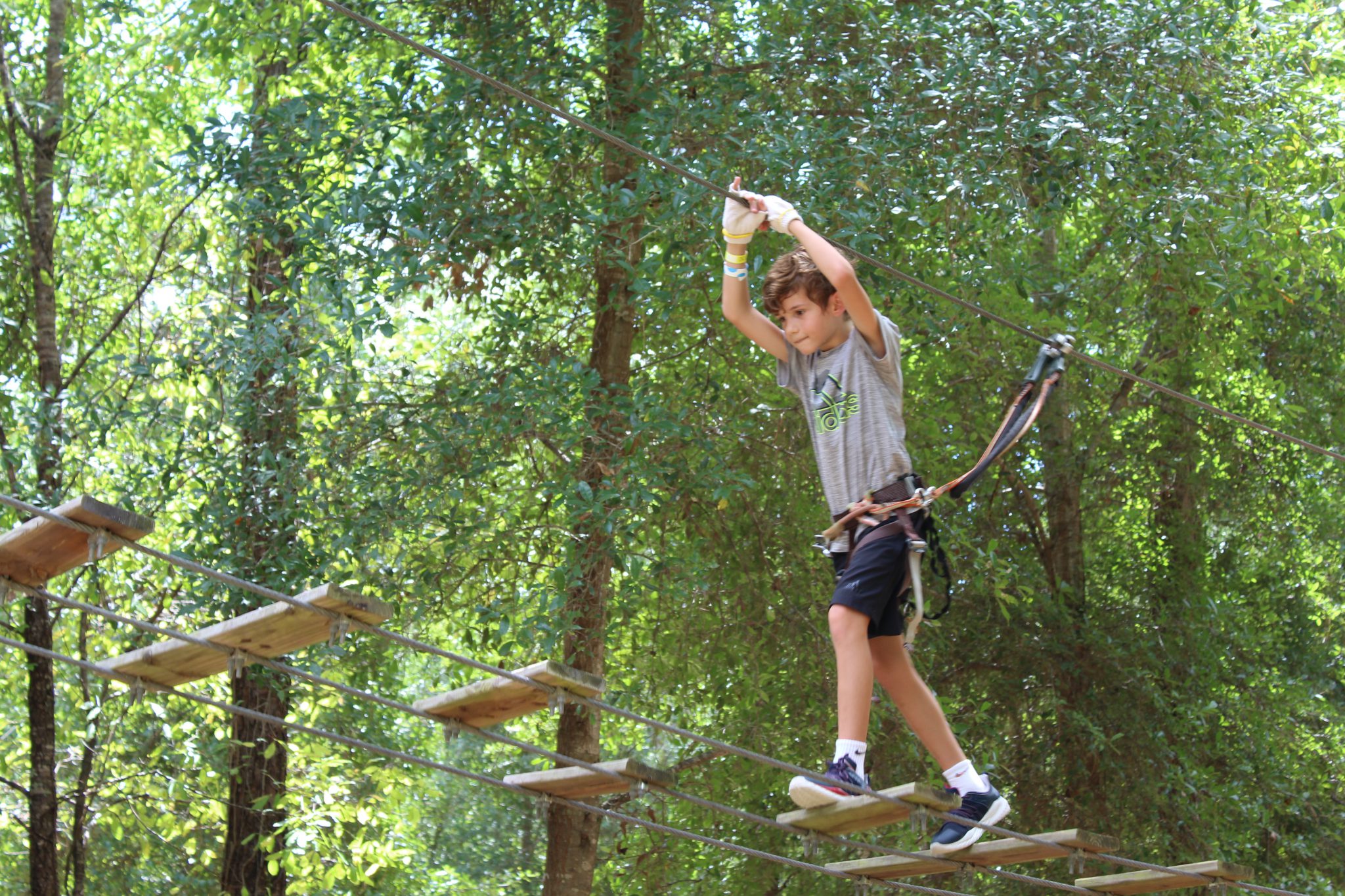 Ticket deals at Orlando Tree Trek Orlando Tree Trek Adventure Park