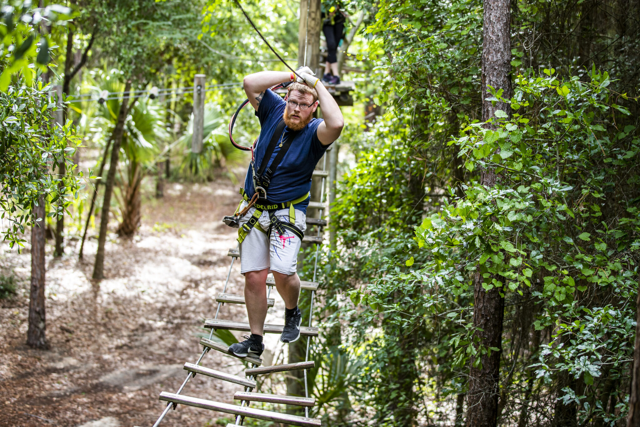 tree top trek discount